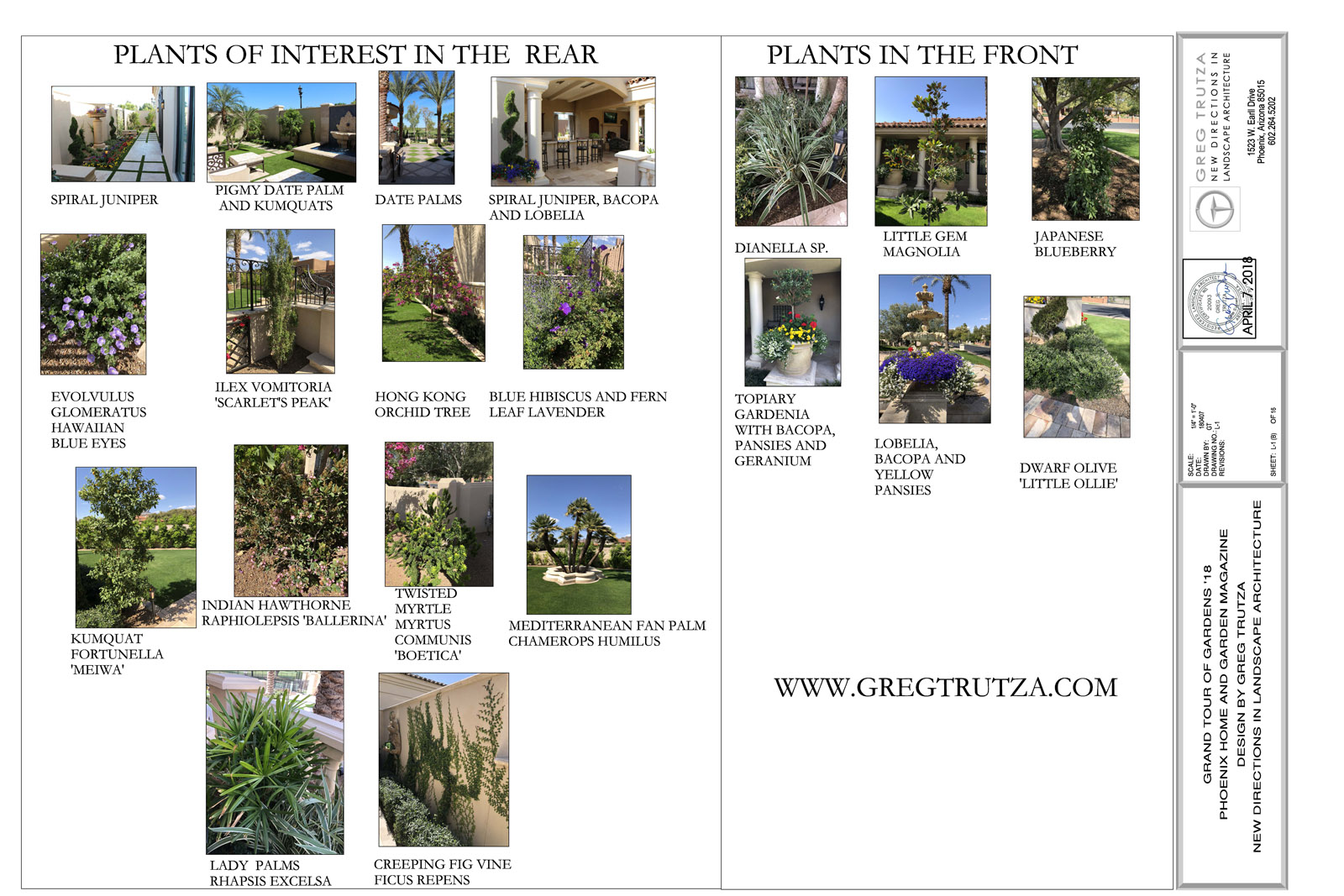 Ellison PLANTS OF INTEREST L 1